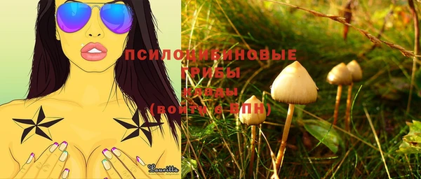Альфа ПВП Медвежьегорск