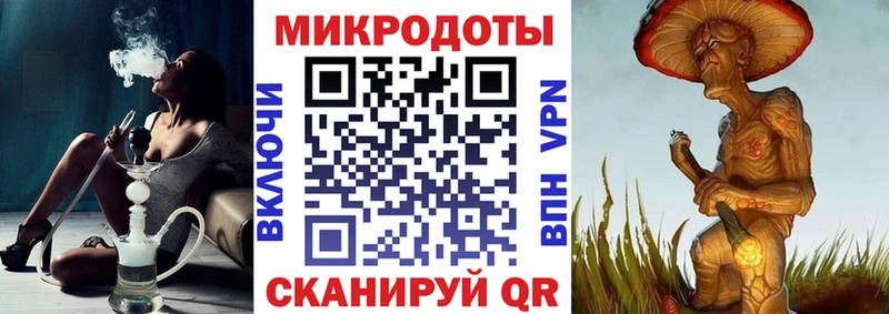Галлюциногенные грибы Psilocybine cubensis  Ярославль 