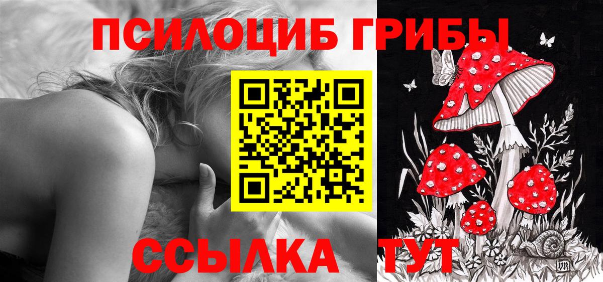 Галлюциногенные грибы прущие грибы  Галлюциногенные грибы прущие грибы  продажа наркотиков  Ярославль 