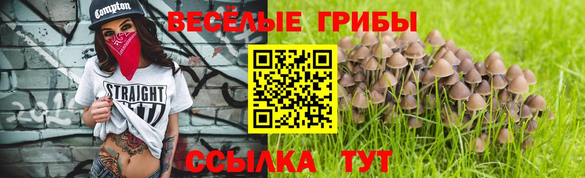Ярославль  Псилоцибиновые грибы Cubensis  Вход с VPN 