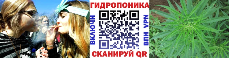 купить наркоту  Ярославль  darknet формула  Шишки марихуана планчик 